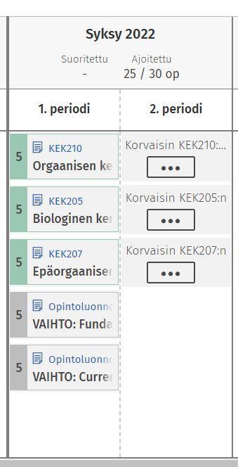 Kuvakaappaus ajoitusnäkymästä Sisussa.