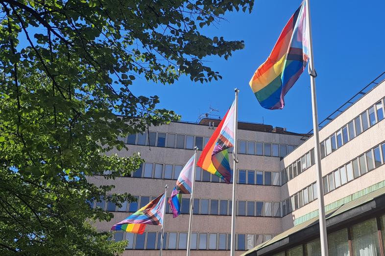 Pride flags flying in front of Porthania.