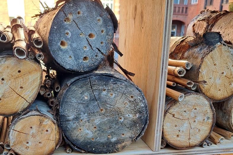 A bug hotel in Siltavuorenpenger.