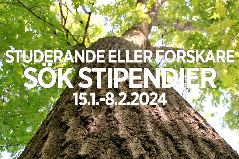 I bakgrunden ett träd, i förgrunden texten "Studerande eller forskare, sök stipendier 15.1.-8.2.2024".