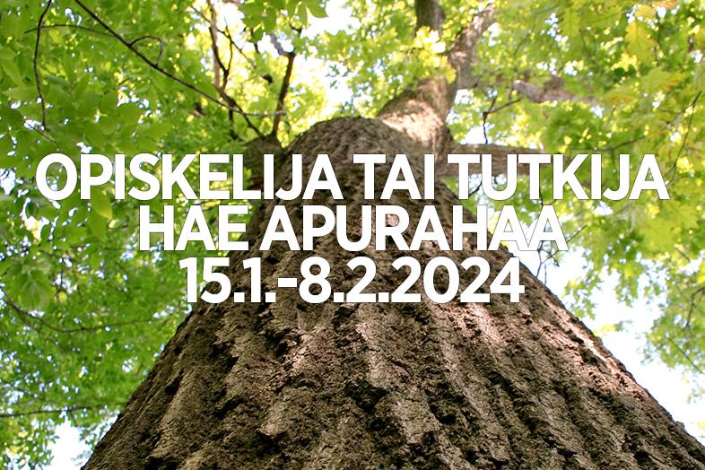 Taustalla puun runko, etualalla teksti "Opiskelija tai tutkija, hae apurahaa 15.1.-8.2.2024".
