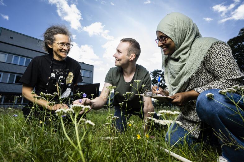 Kolme ihmistä tutkimassa kampusten kasvillisuutta.