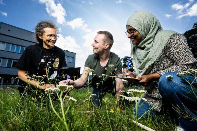 Kolme henkilöä tarkastelemassa kampuksen kasvillisuutta ja tekemässä muistiinpanoja aurinkoisena kesäpäivänä.