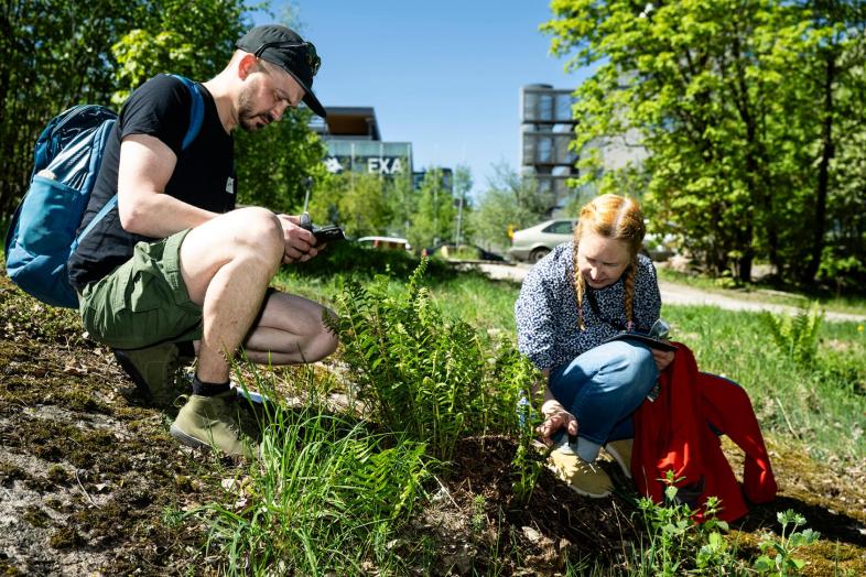 Two people exploring campus nature at the Kumpula Campus on a sunny summer day.