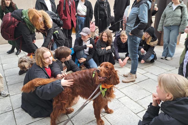 Opiskelijoita koiran kanssa