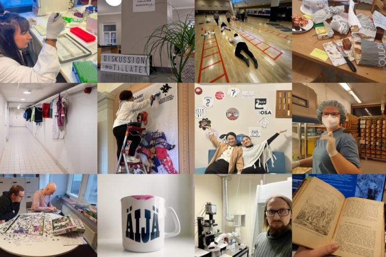 Mosaiikki arkikuvakeräyksen sadosta.