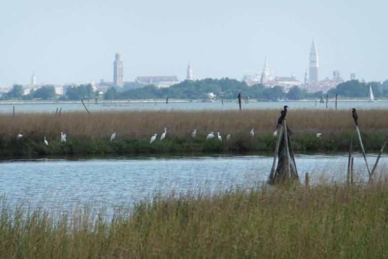 Valokuva Venetsian laguunista.