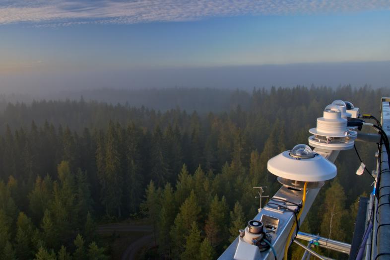 Hyytiälän metsäasema, sumuinen metsä kuvattuna ylhäältä päin