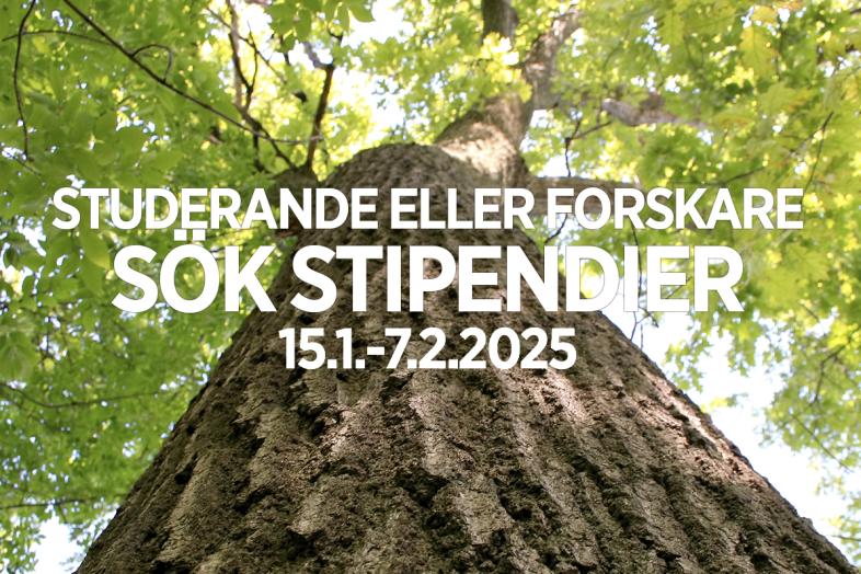 Trädstam i bakgrunden, texten i förgrunden: "Studerande eller forskare, sök stipendier 15.1.-7.2.2025".
