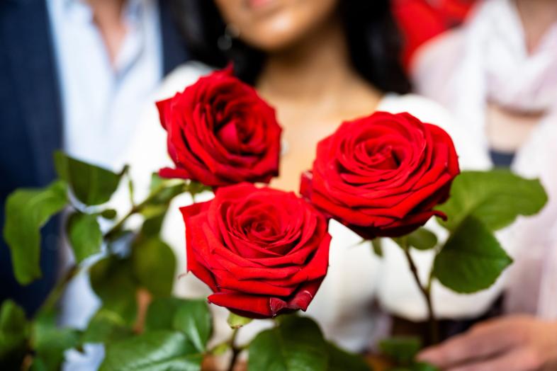 Kolme punaista ruusua.