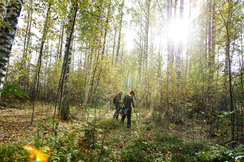 Kaksi henkilöä keväisessä koivikossa Lammin biologisella asemalla.