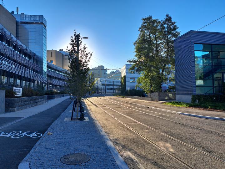 Viikinkaari aamuauringossa.