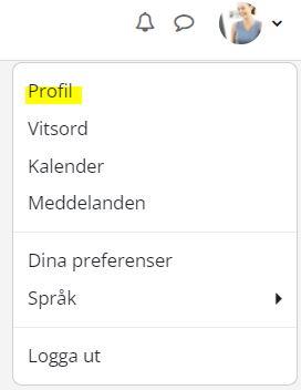 Profil i Moodle