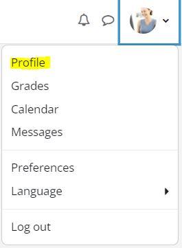 Profile in Moodle top upper corner