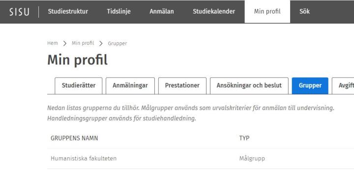 Skärmdump av Min profil-sidans Grupper-fliken.